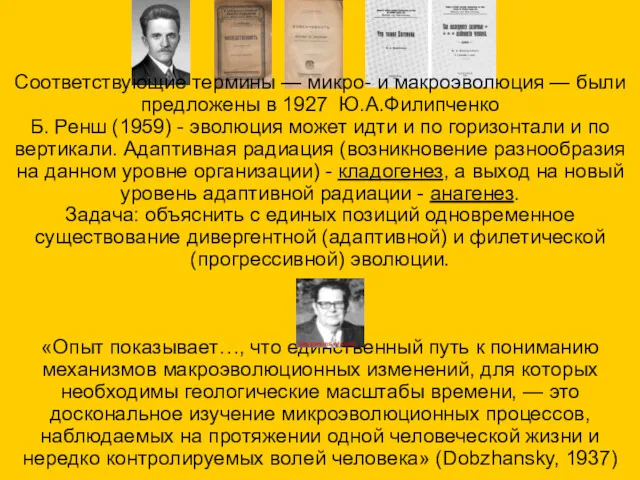 Соответствующие термины — микро- и макроэволюция — были предложены в 1927 Ю.А.Филипченко Б.
