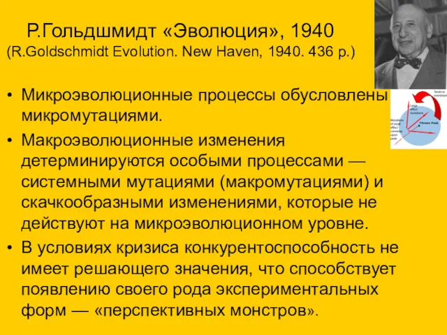 Р.Гольдшмидт «Эволюция», 1940 (R.Goldschmidt Evolution. New Haven, 1940. 436 p.) Микроэволюционные процессы обусловлены