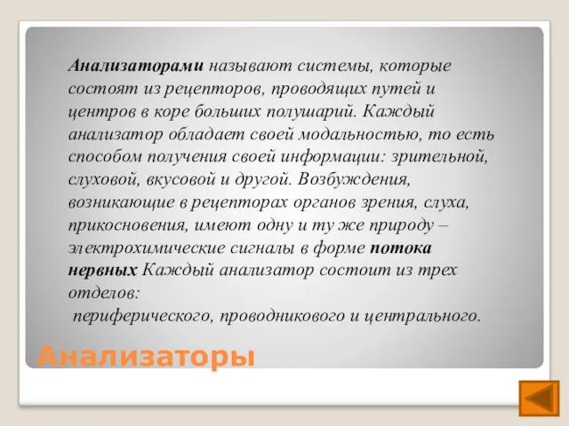 Анализаторы Анализаторами называют системы, которые состоят из рецепторов, проводящих путей