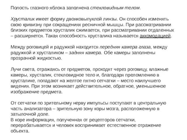 Полость глазного яблока заполнена стекловидным телом. Хрусталик имеет форму двояковыпуклой