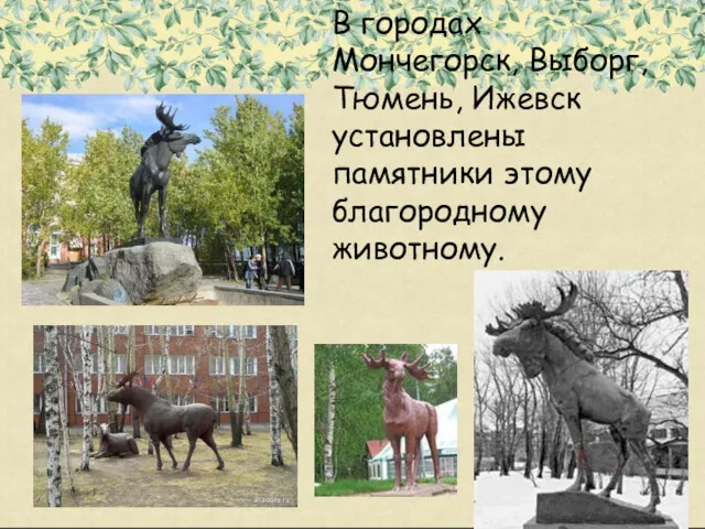 В городах Мончегорск, Выборг, Тюмень, Ижевск установлены памятники этому благородному животному.