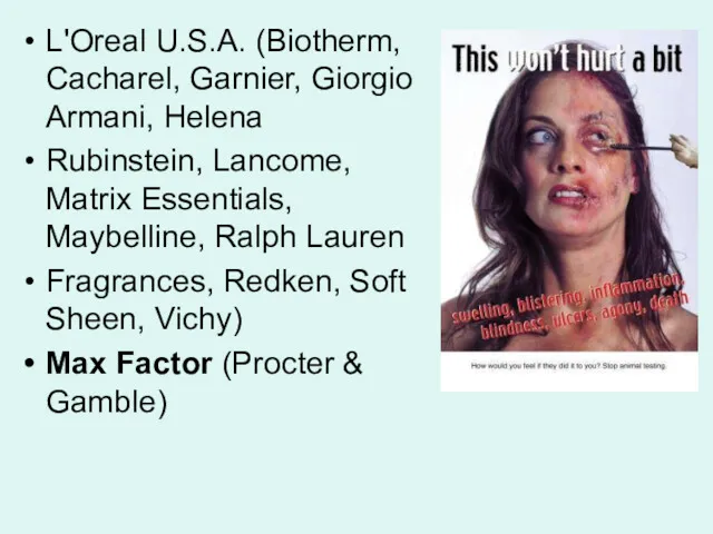 L'Orеal U.S.A. (Biotherm, Cacharel, Garnier, Giorgio Armani, Helena Rubinstein, Lancome, Matrix Essentials, Maybelline,