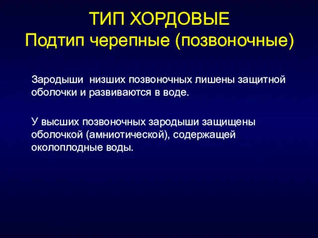 ТИП ХОРДОВЫЕ Подтип черепные (позвоночные) Зародыши низших позвоночных лишены защитной