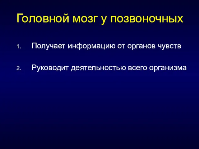 Головной мозг у позвоночных Получает информацию от органов чувств Руководит деятельностью всего организма