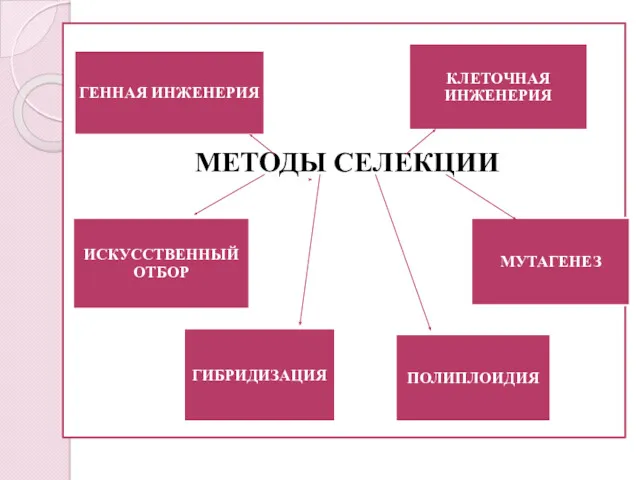 МЕТОДЫ СЕЛЕКЦИИ