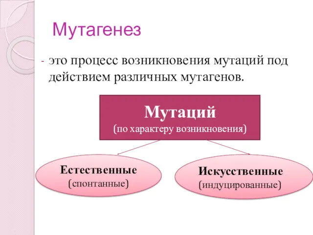 Мутагенез это процесс возникновения мутаций под действием различных мутагенов. Естественные