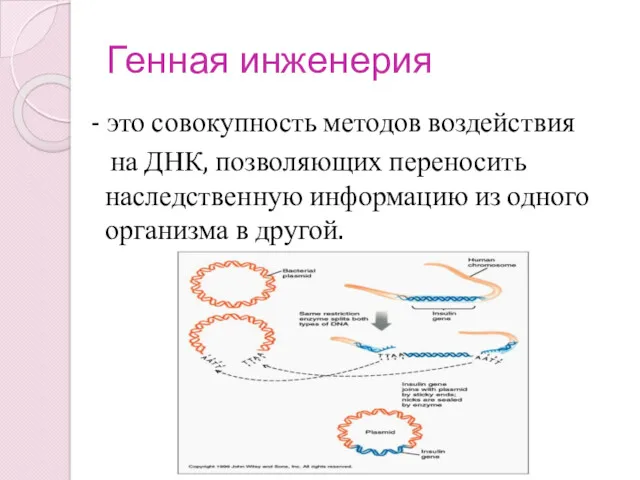 Генная инженерия - это совокупность методов воздействия на ДНК, позволяющих