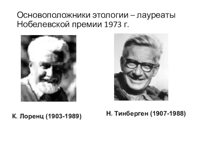 Основоположники этологии – лауреаты Нобелевской премии 1973 г. К. Лоренц (1903-1989) Н. Тинберген (1907-1988)