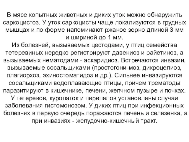 В мясе копытных животных и диких уток можно обнаружить саркоцистоз.