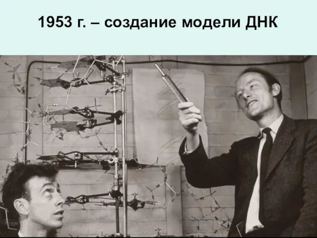 1953 г. – создание модели ДНК