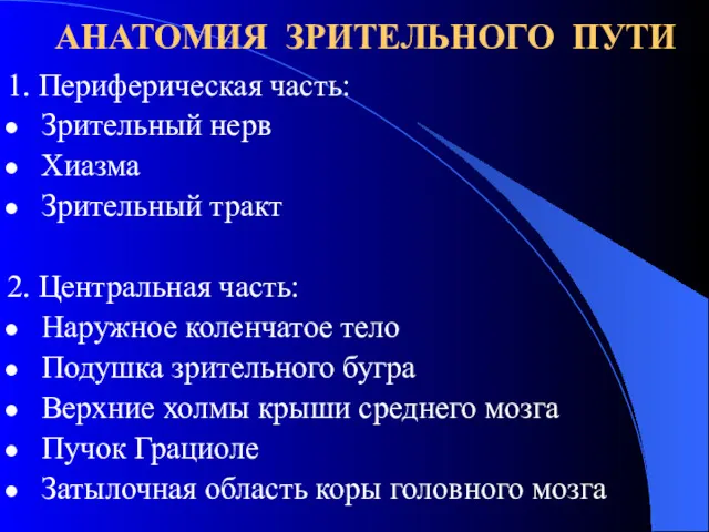 АНАТОМИЯ ЗРИТЕЛЬНОГО ПУТИ 1. Периферическая часть: Зрительный нерв Хиазма Зрительный