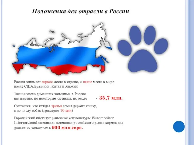 Точное число домашних животных в России неизвестно, по некоторым оценкам,