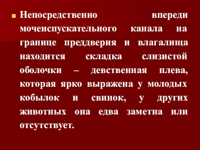 Непосредственно впереди мочеиспускательного канала на границе преддверия и влагалища находится