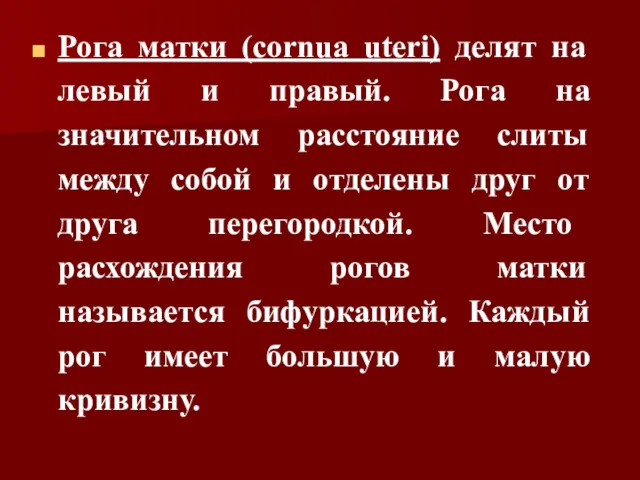 Рога матки (cornua uteri) делят на левый и правый. Рога