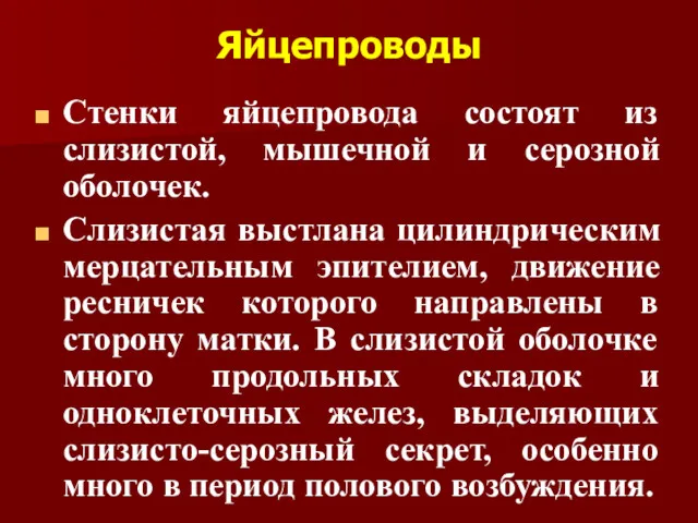 Яйцепроводы Стенки яйцепровода состоят из слизистой, мышечной и серозной оболочек.