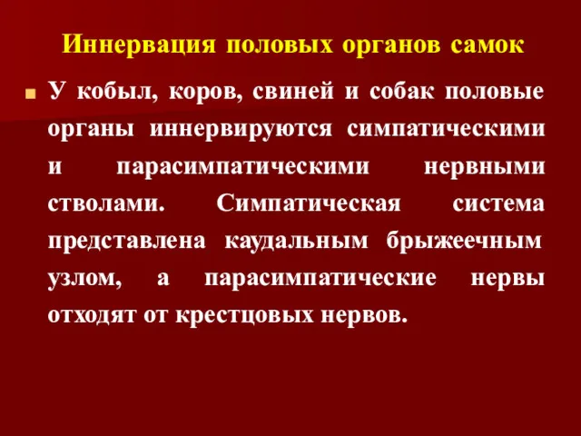 Иннервация половых органов самок У кобыл, коров, свиней и собак