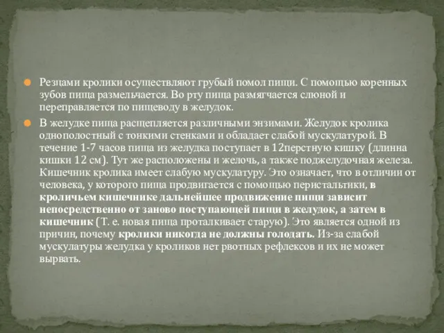 Резцами кролики осуществляют грубый помол пищи. С помощью коренных зубов