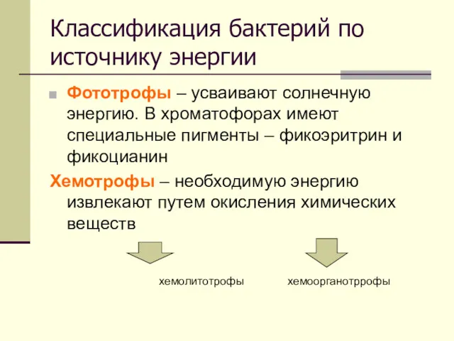 Классификация бактерий по источнику энергии Фототрофы – усваивают солнечную энергию.