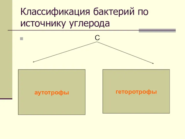 Классификация бактерий по источнику углерода С аутотрофы геторотрофы