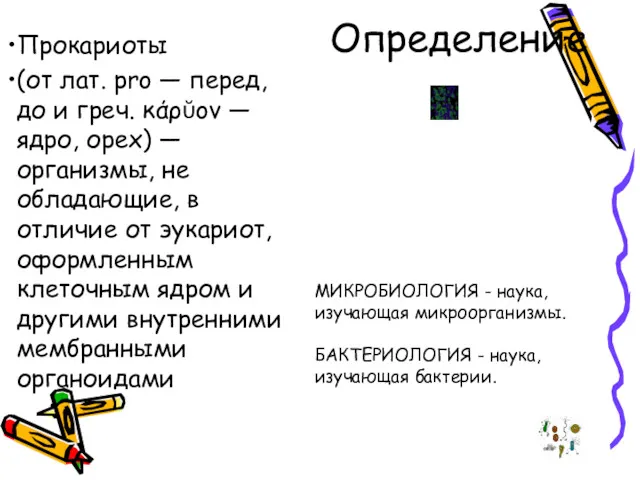 Определение Прокариоты (от лат. pro — перед, до и греч. κάρῠον — ядро,