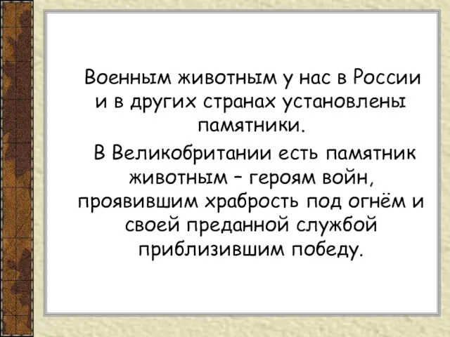 Военным животным у нас в России и в других странах