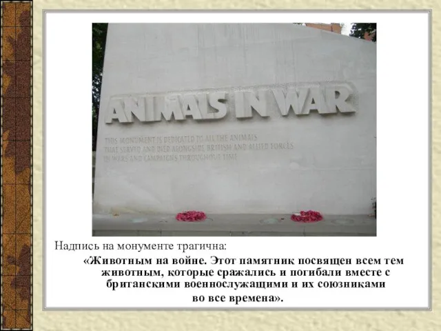 Надпись на монументе трагична: «Животным на войне. Этот памятник посвящен