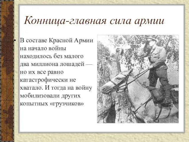 Конница-главная сила армии В составе Красной Армии на начало войны