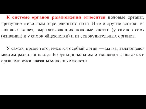 К системе органов размножения относятся половые органы, присущие животным определенного