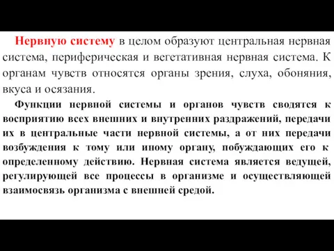 Нервную систему в целом образуют центральная нервная система, периферическая и