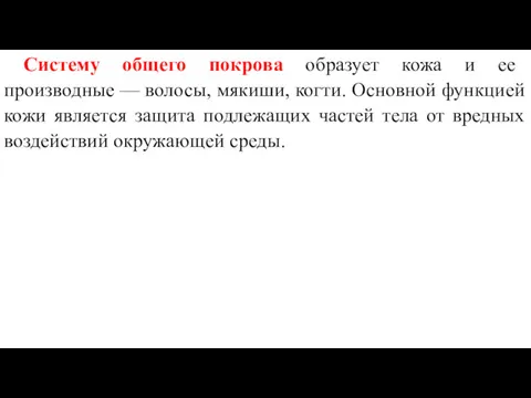 Систему общего покрова образует кожа и ее производные — волосы,