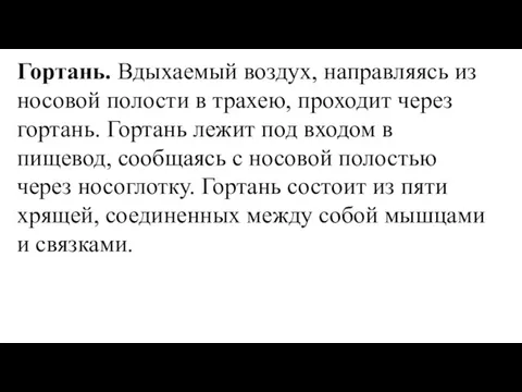 Гортань. Вдыхаемый воздух, направляясь из носовой полости в трахею, проходит