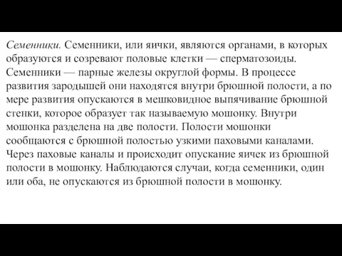 Семенники. Семенники, или яички, являются органами, в которых образуются и