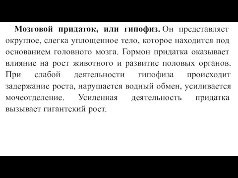 Мозговой придаток, или гипофиз. Он представляет округлое, слегка уплощенное тело,