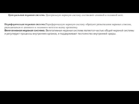 Центральная нервная система. Центральную нервную систему составляют спинной и головной