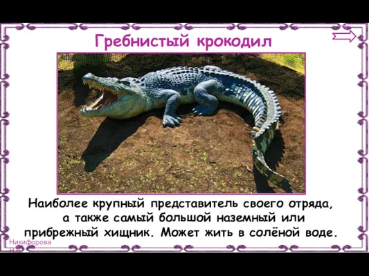 Гребнистый крокодил Наиболее крупный представитель своего отряда, а также самый