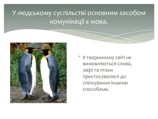 У тваринному світі не вимовляються слова, звірі та птахи пристосувалися