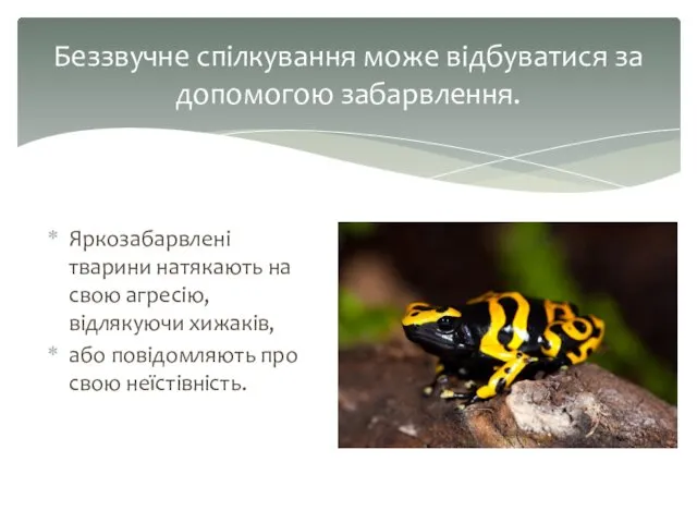 Яркозабарвлені тварини натякають на свою агресію, відлякуючи хижаків, або повідомляють