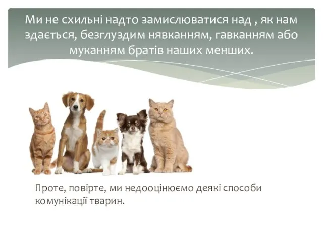 Проте, повірте, ми недооцінюємо деякі способи комунікації тварин. Ми не