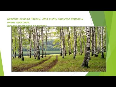 Берёзка-символ России. Это очень живучее дерево и очень красивое. Какова цветовая палитра?