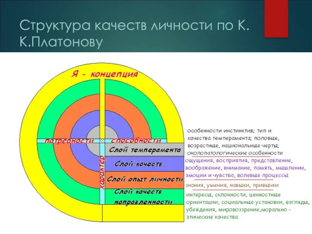 Структура качеств личности по К.К.Платонову