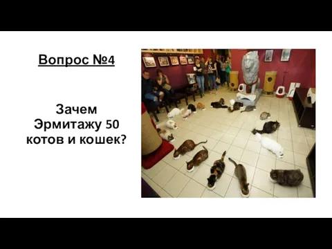 Вопрос №4 Зачем Эрмитажу 50 котов и кошек?