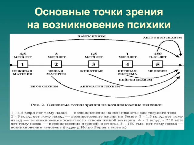 Основные точки зрения на возникновение психики