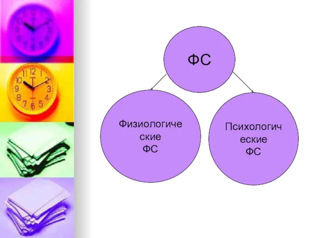 ФС Физиологические ФС Психологические ФС