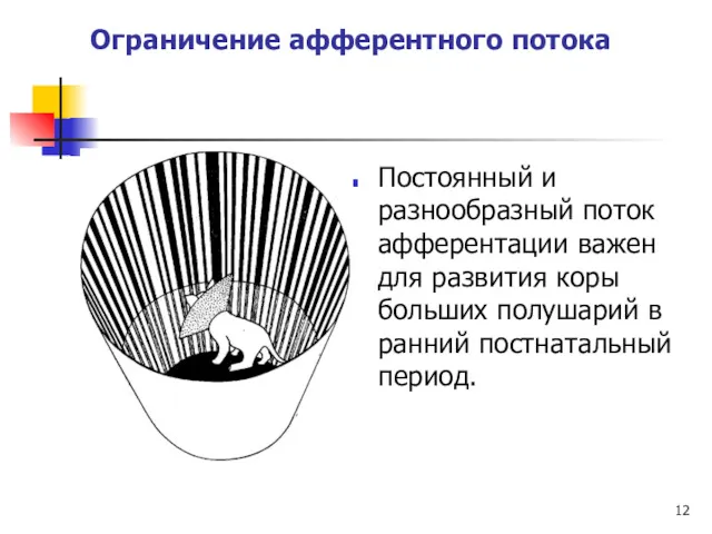 Ограничение афферентного потока Постоянный и разнообразный поток афферентации важен для