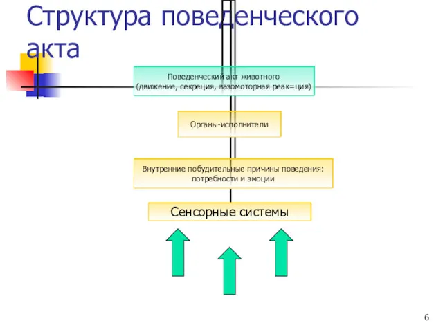 Структура поведенческого акта