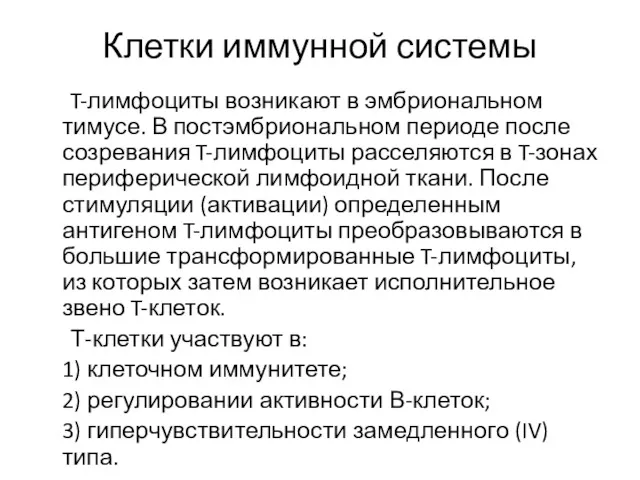 Клетки иммунной системы T-лимфоциты возникают в эмбриональном тимусе. В постэмбриональном