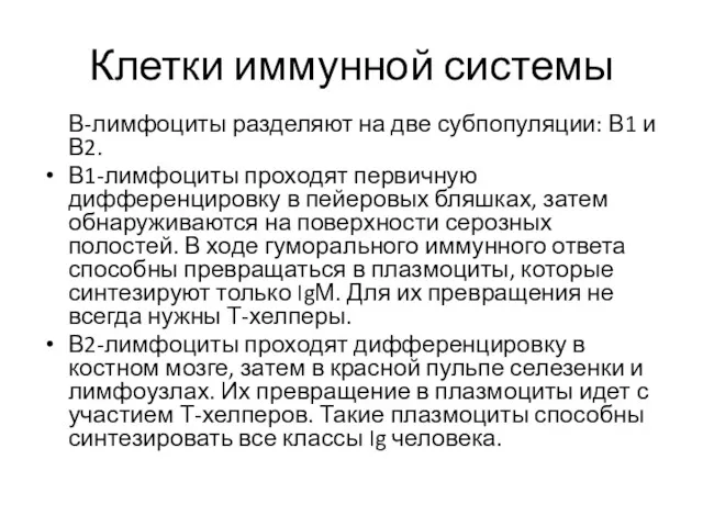 Клетки иммунной системы В-лимфоциты разделяют на две субпопуляции: В1 и