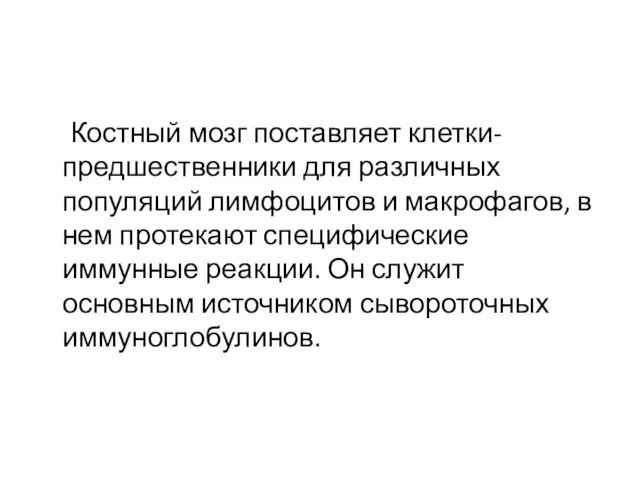 Костный мозг поставляет клетки-предшественники для различных популяций лимфоцитов и макрофагов,