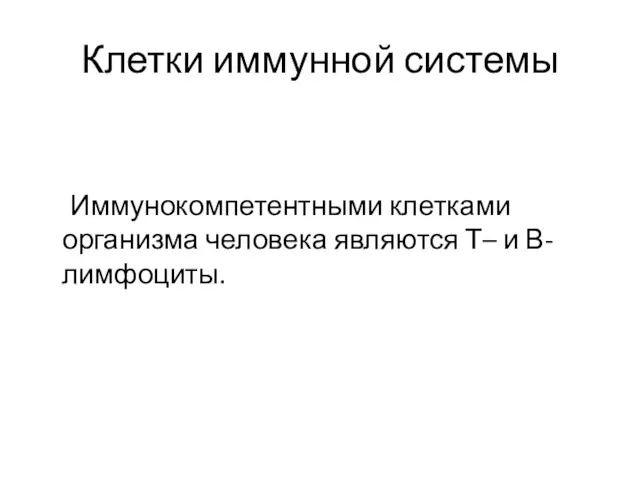 Клетки иммунной системы Иммунокомпетентными клетками организма человека являются Т– и В-лимфоциты.