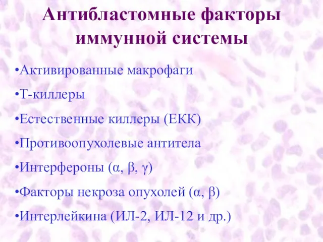 Антибластомные факторы иммунной системы Активированные макрофаги Т-киллеры Естественные киллеры (ЕКК)